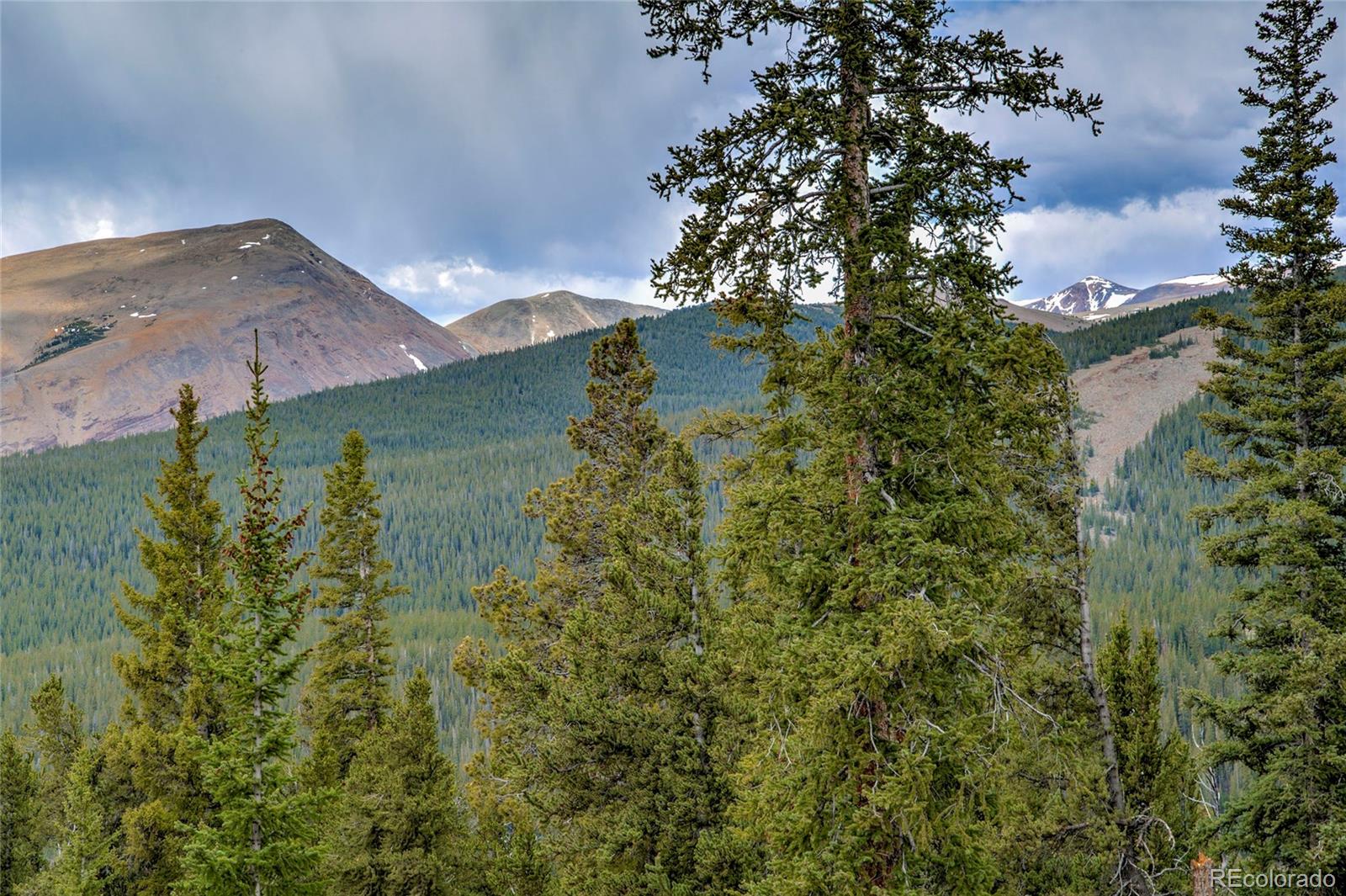 MLS Image #3 for 790  mountain view drive,fairplay, Colorado