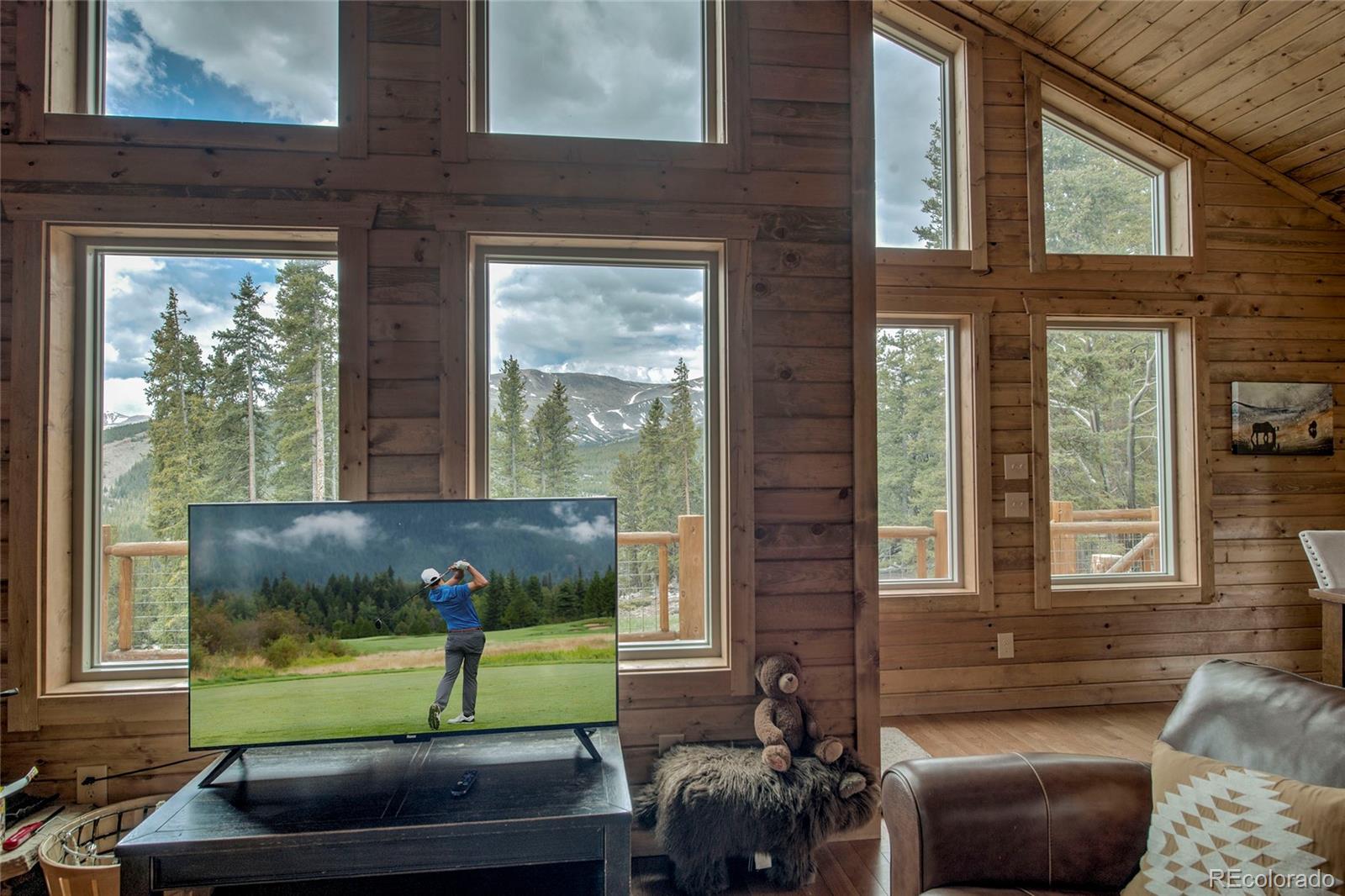 MLS Image #38 for 790  mountain view drive,fairplay, Colorado