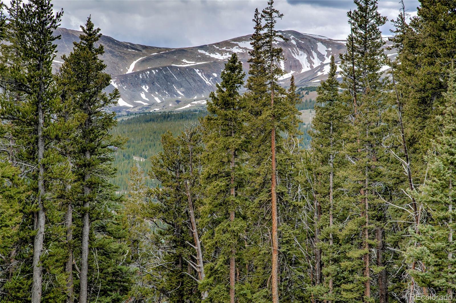 MLS Image #4 for 790  mountain view drive,fairplay, Colorado
