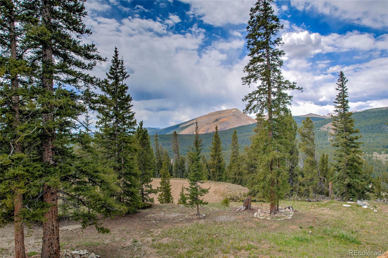 MLS Image #42 for 790  mountain view drive,fairplay, Colorado
