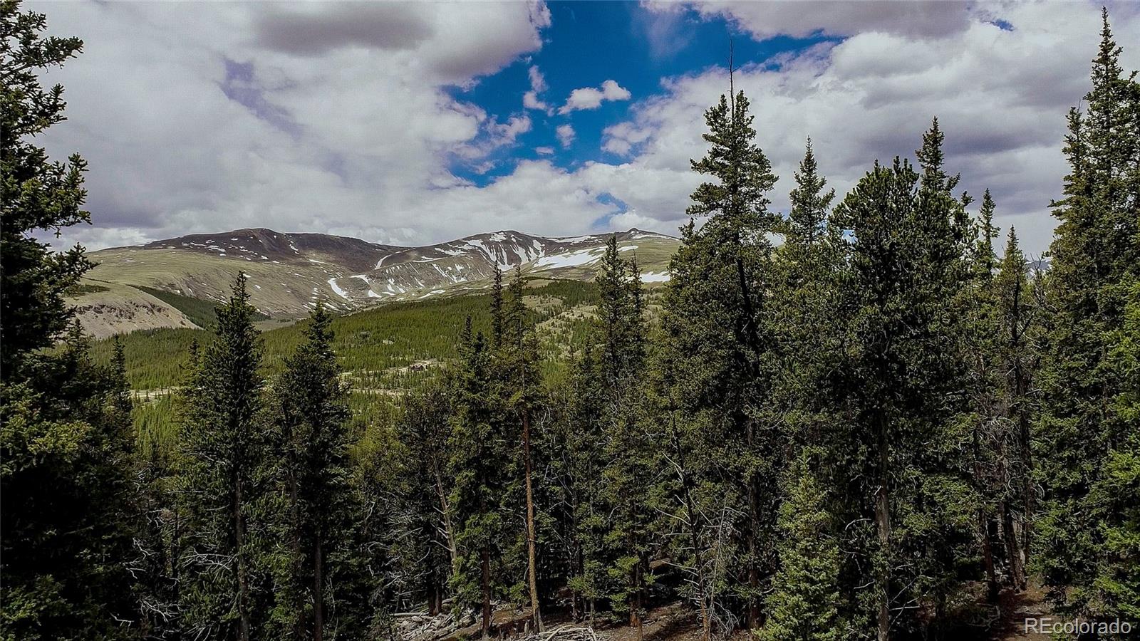 MLS Image #46 for 790  mountain view drive,fairplay, Colorado