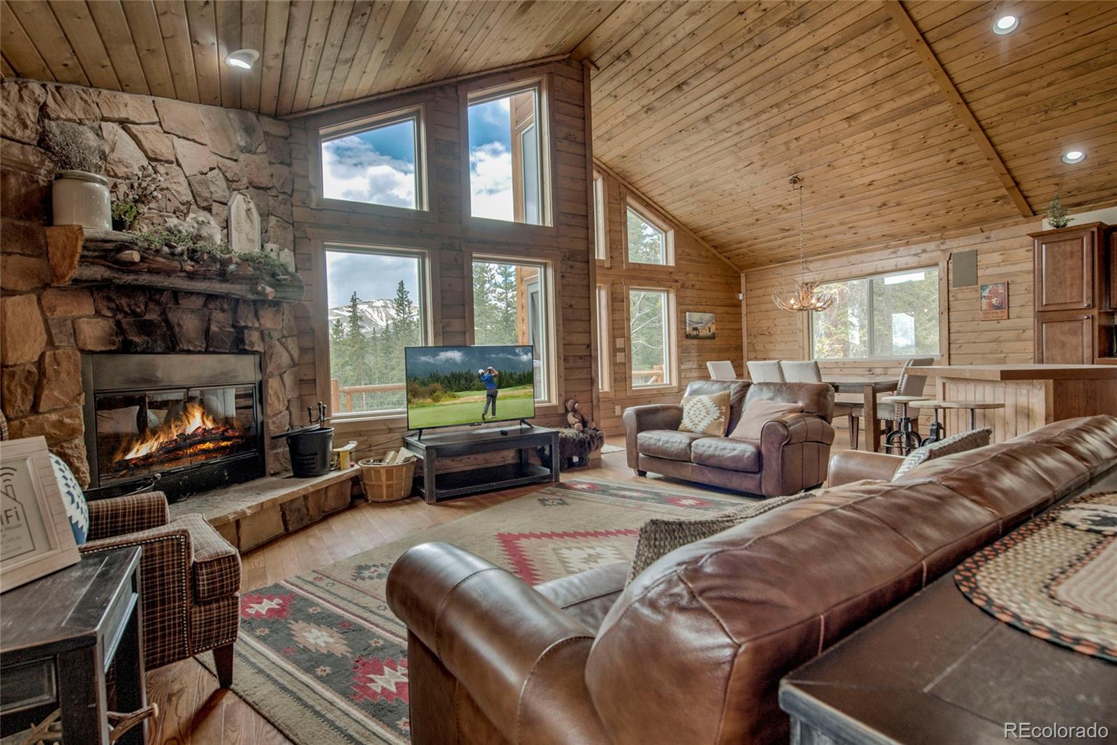 MLS Image #7 for 790  mountain view drive,fairplay, Colorado