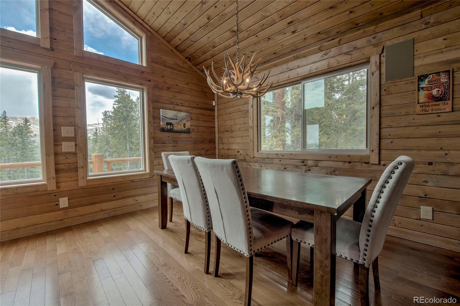 MLS Image #9 for 790  mountain view drive,fairplay, Colorado