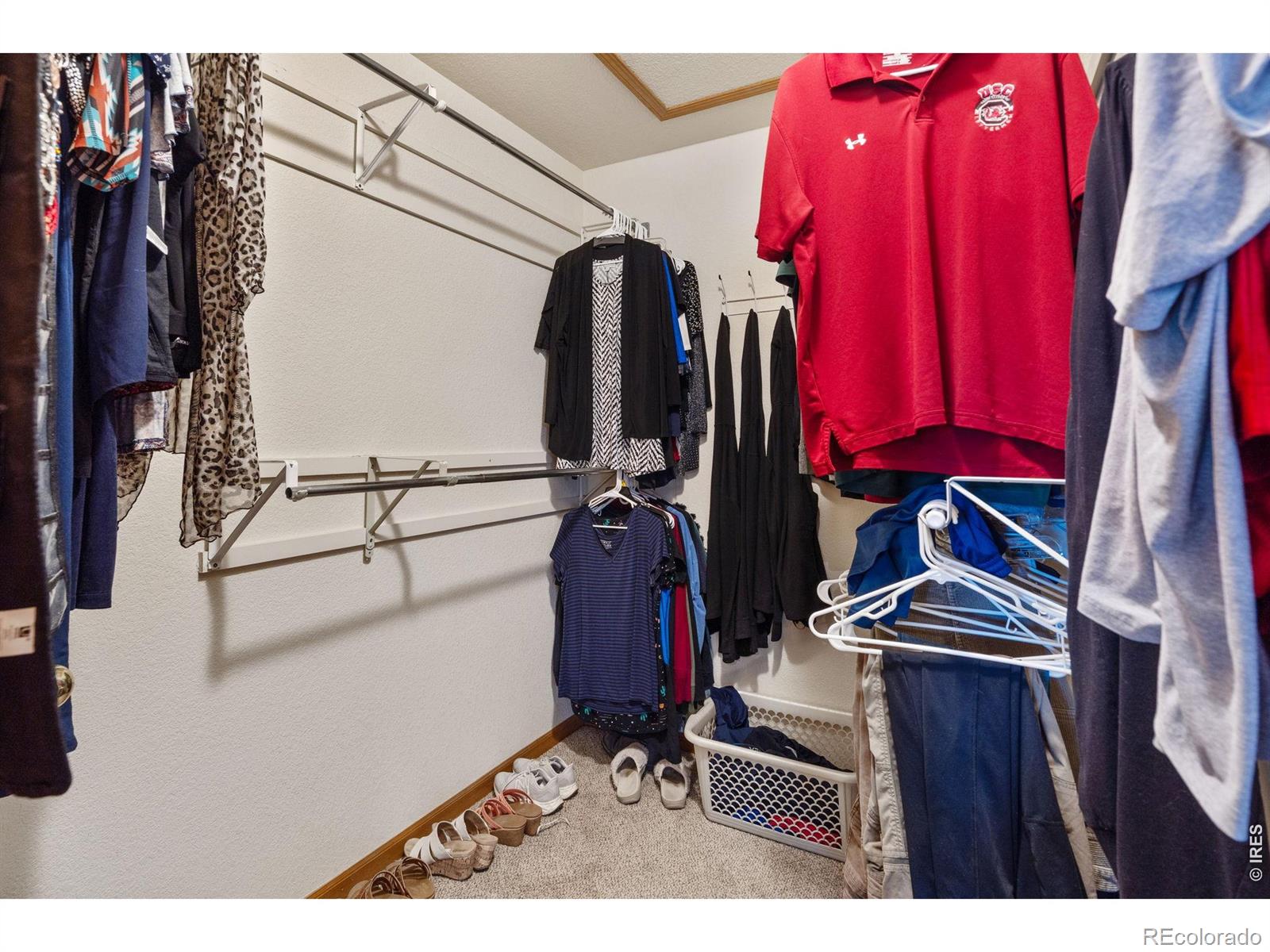 MLS Image #17 for 1313  silk oak drive,fort collins, Colorado