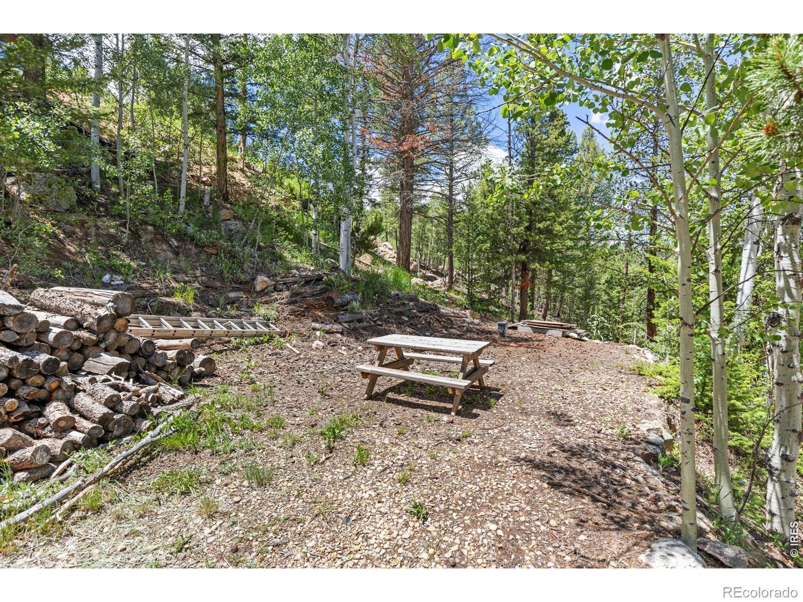 MLS Image #36 for 277  hummer drive,nederland, Colorado