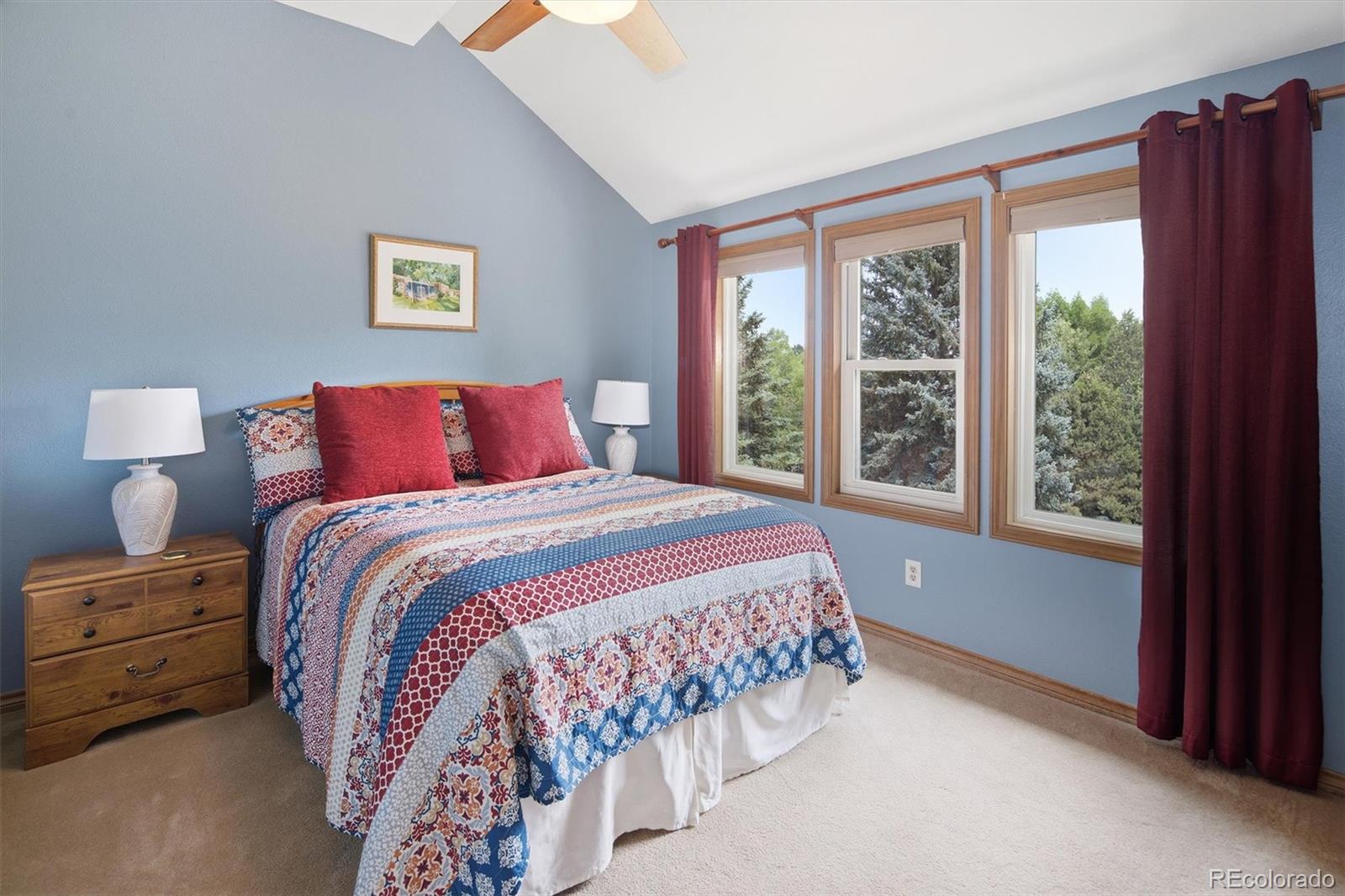 MLS Image #31 for 10226  newton court,westminster, Colorado
