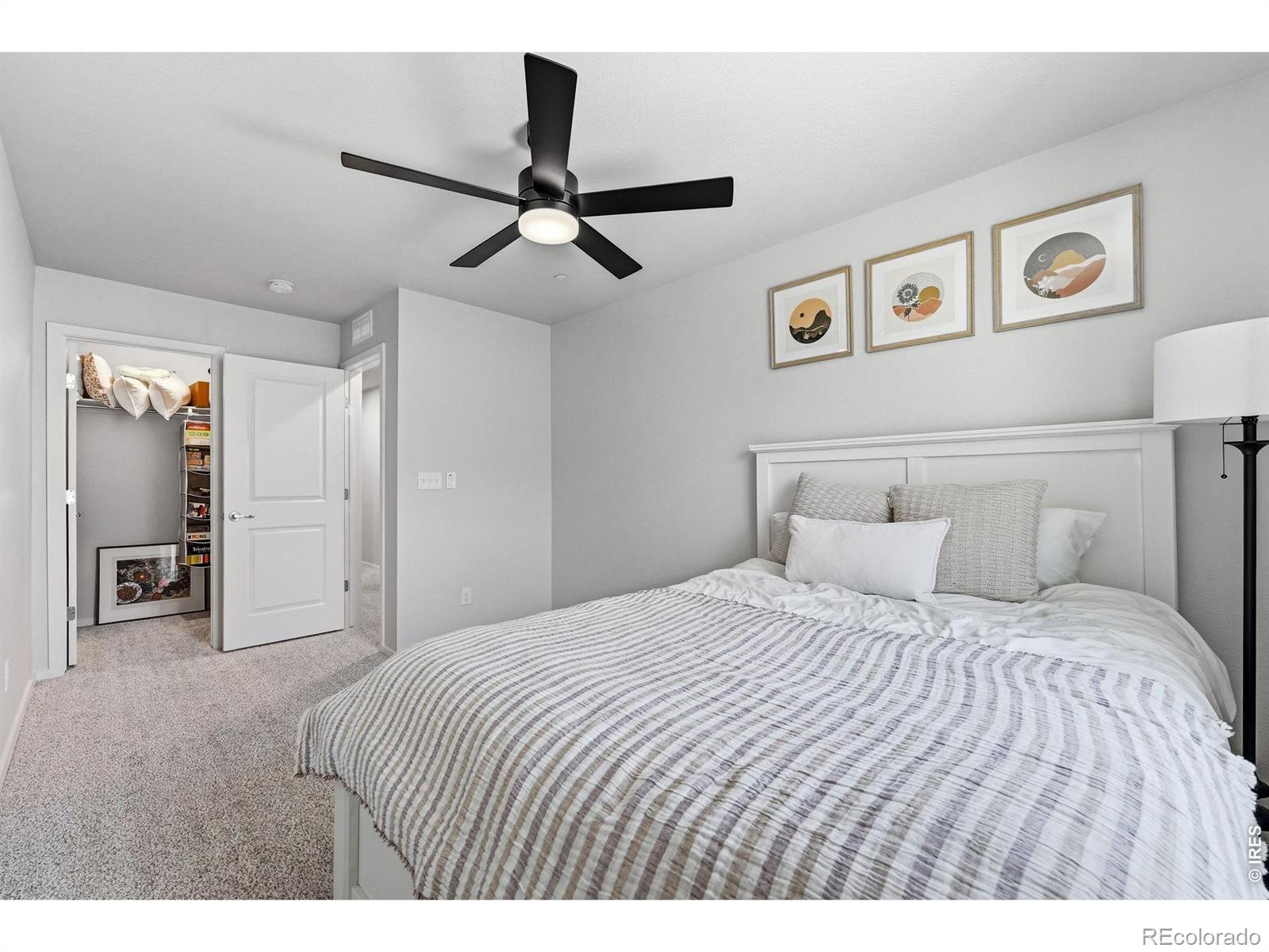 MLS Image #24 for 2968  barnstormer street,fort collins, Colorado
