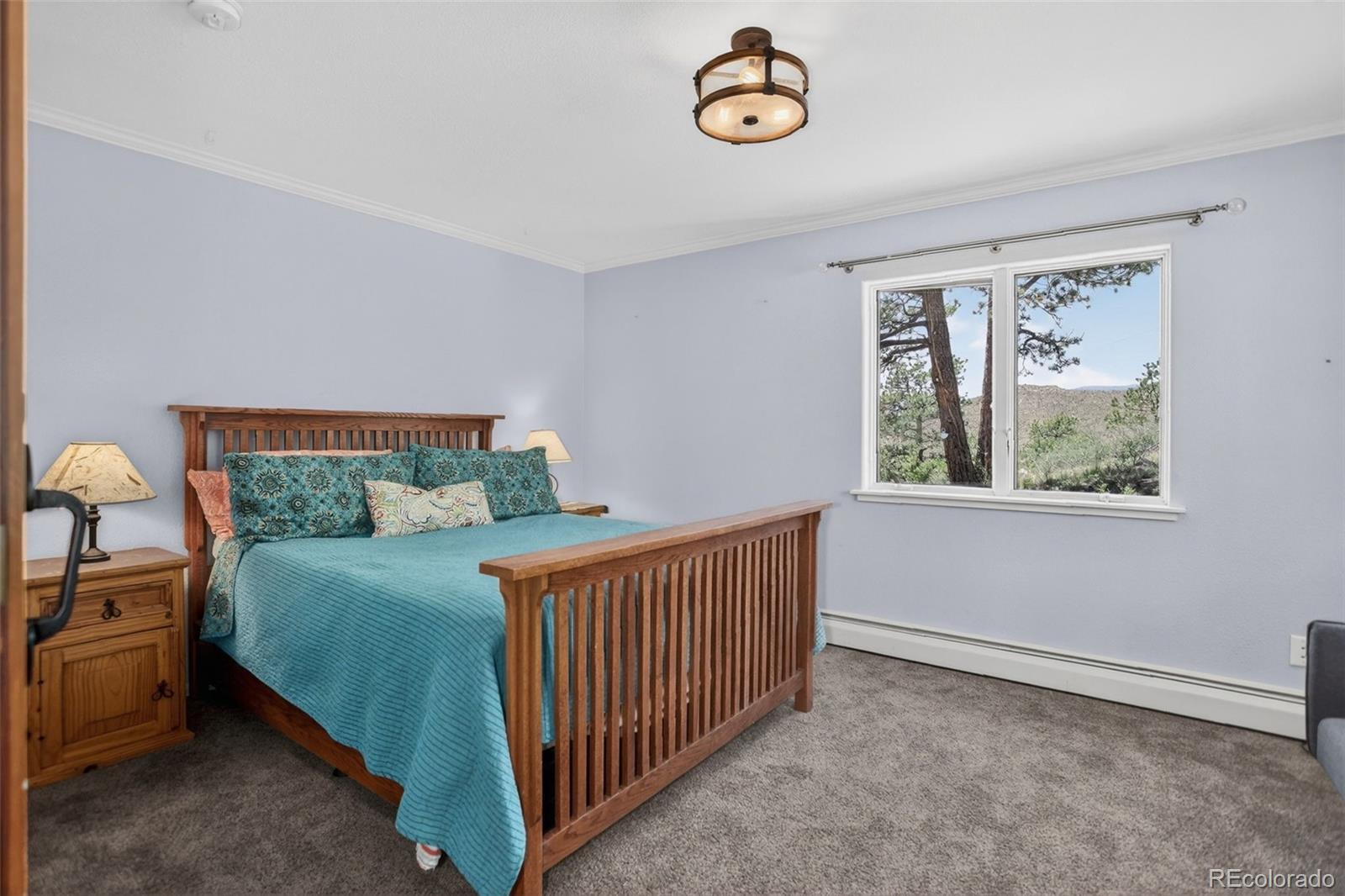 MLS Image #23 for 30236  zurich drive,pine, Colorado
