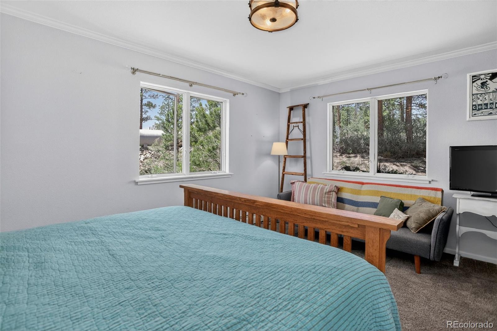 MLS Image #24 for 30236  zurich drive,pine, Colorado