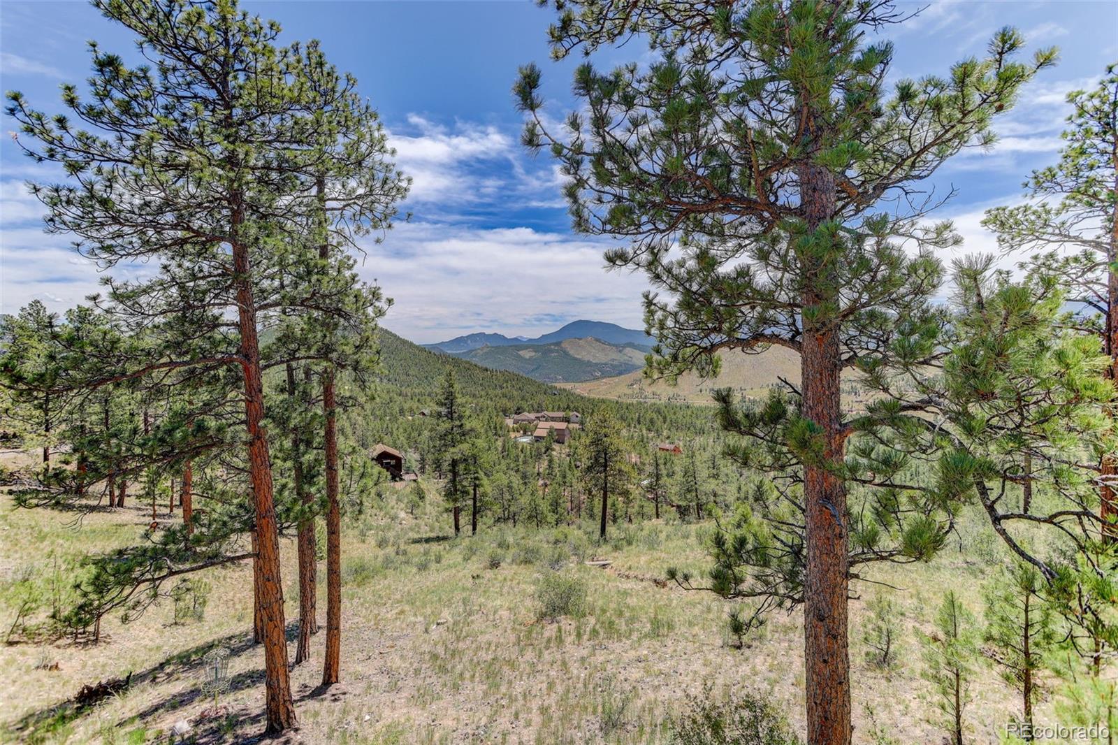 MLS Image #36 for 30236  zurich drive,pine, Colorado