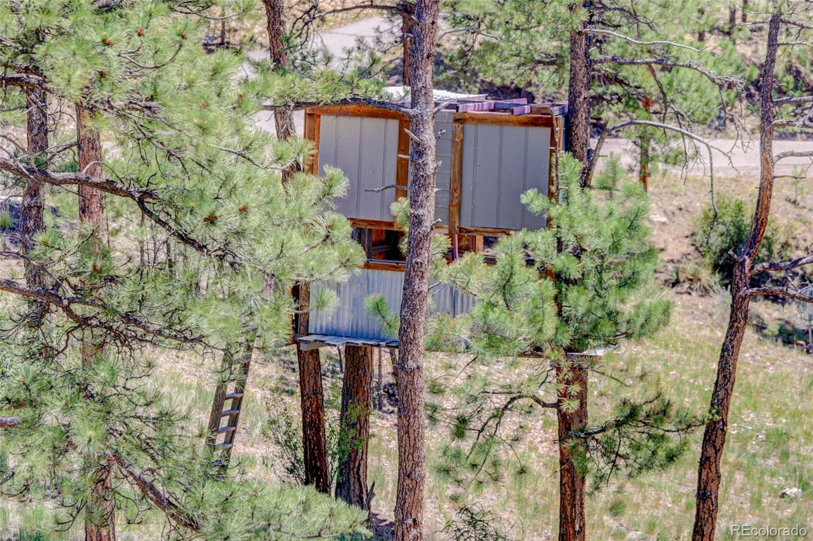 MLS Image #42 for 30236  zurich drive,pine, Colorado