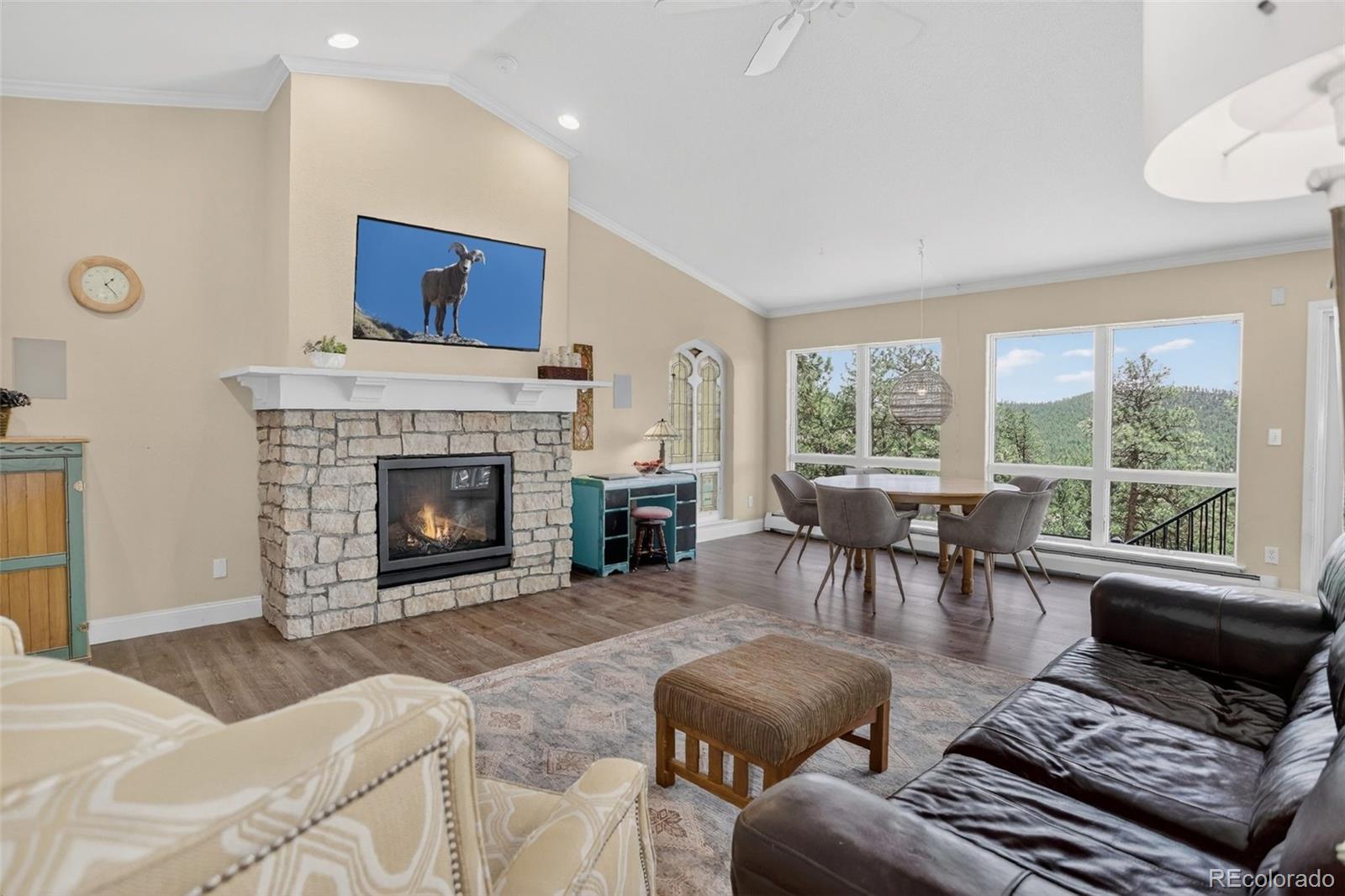 MLS Image #8 for 30236  zurich drive,pine, Colorado