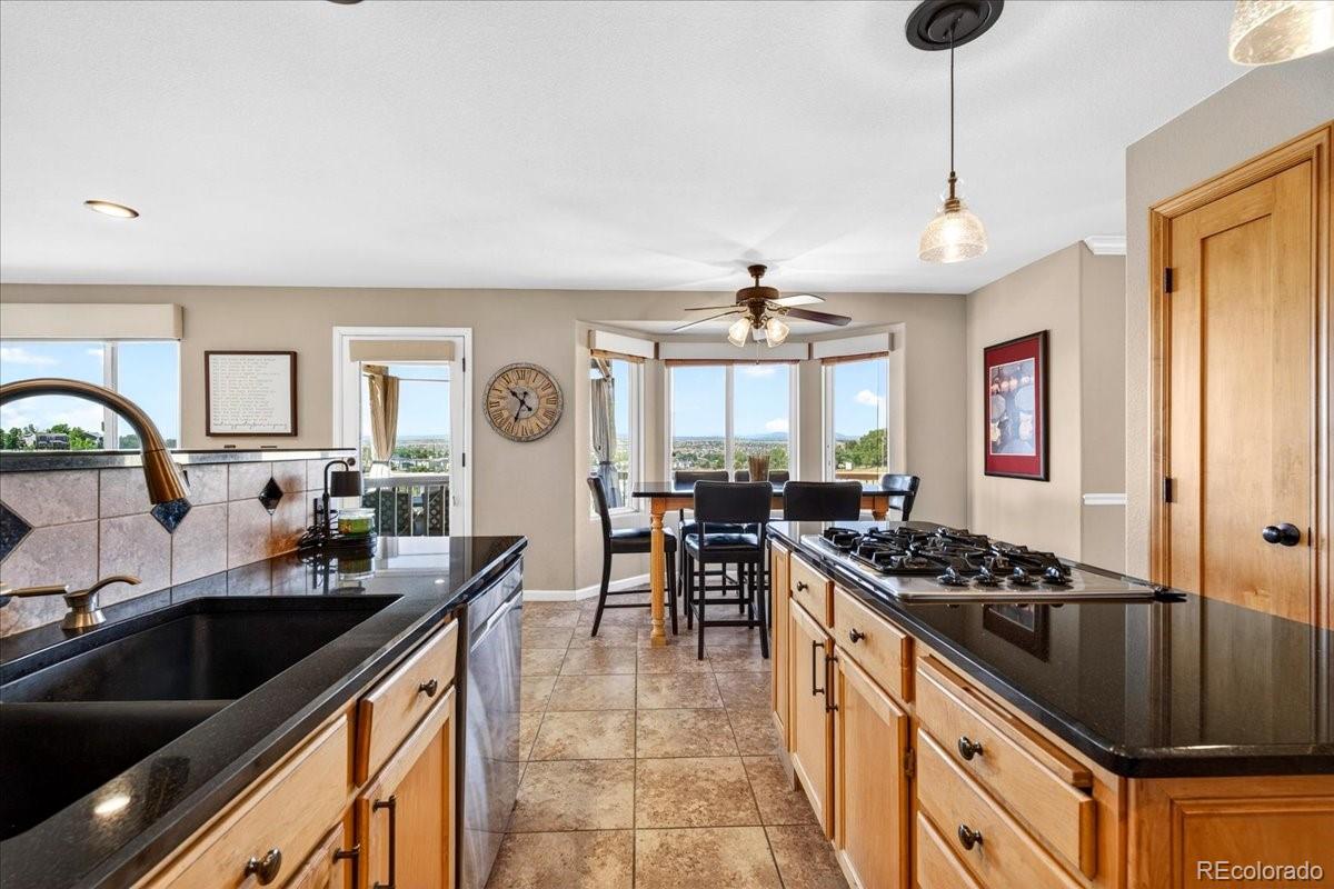 MLS Image #11 for 11267  panorama court,parker, Colorado