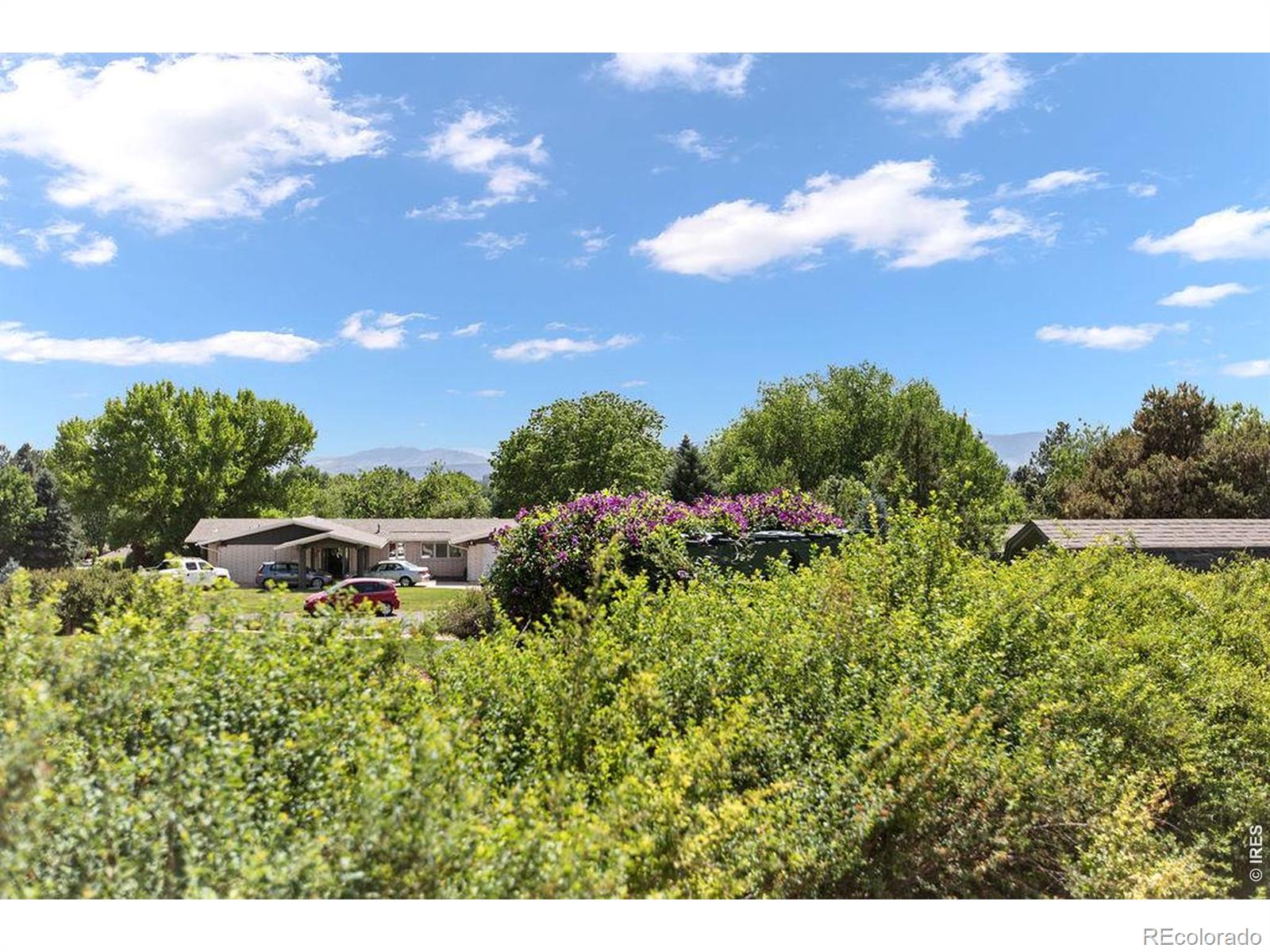 MLS Image #47 for 1809  nedrah drive,fort collins, Colorado