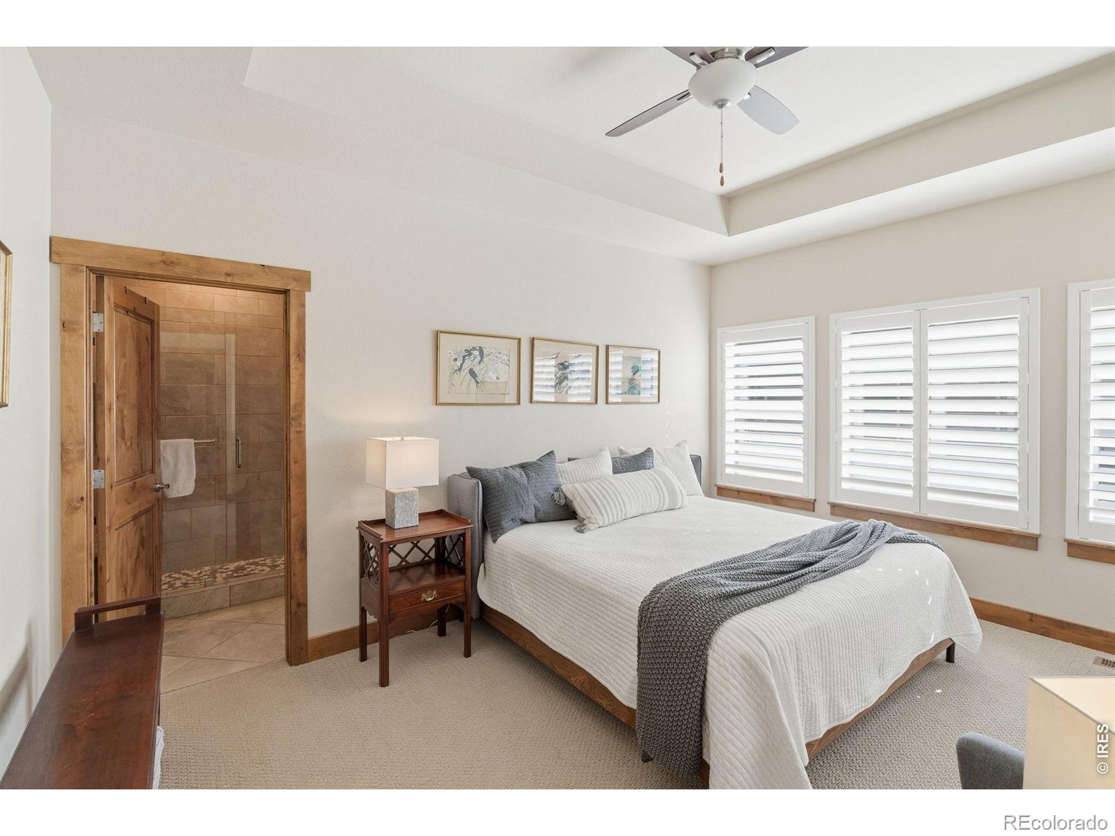 MLS Image #16 for 3719  saguaro drive,loveland, Colorado