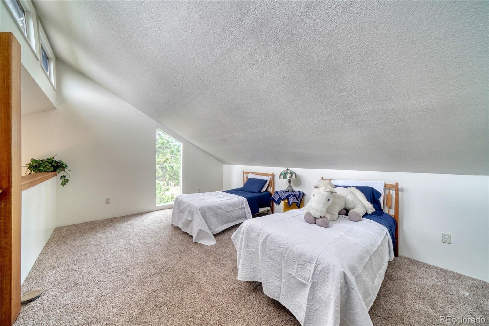 MLS Image #30 for 2283  co rd 323 ,westcliffe, Colorado