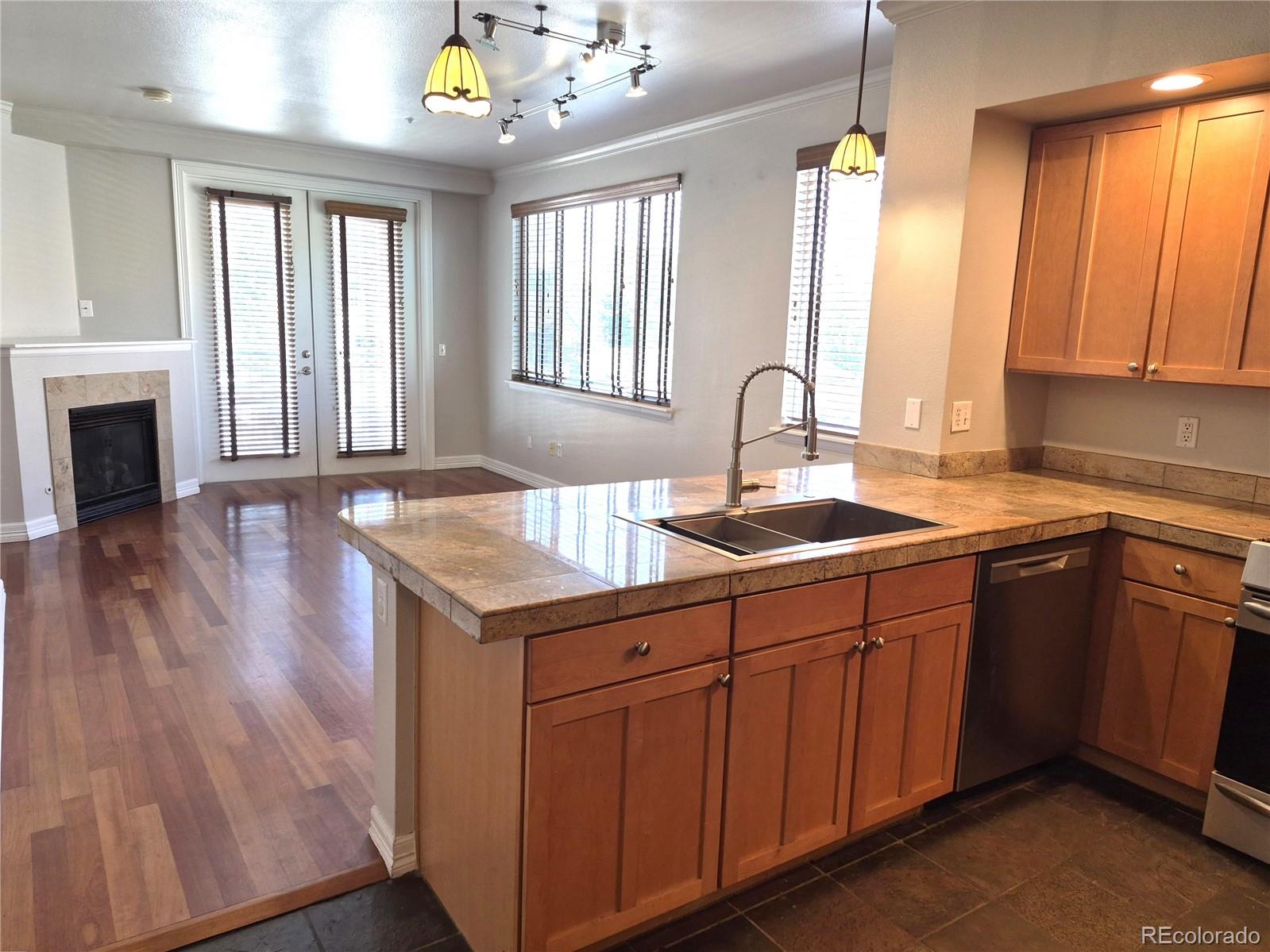 MLS Image #5 for 1705  gaylord street,denver, Colorado