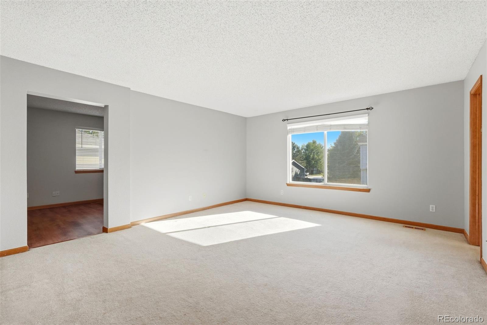 MLS Image #20 for 4607 n foxtail drive,castle rock, Colorado