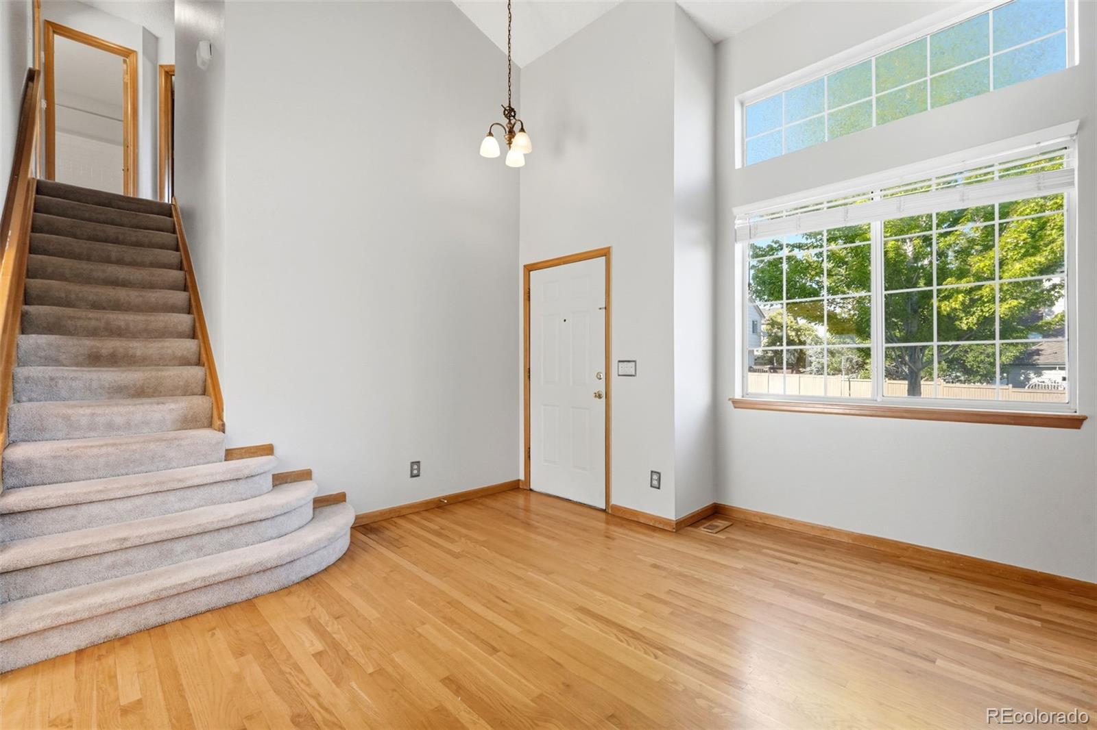 MLS Image #3 for 4607 n foxtail drive,castle rock, Colorado