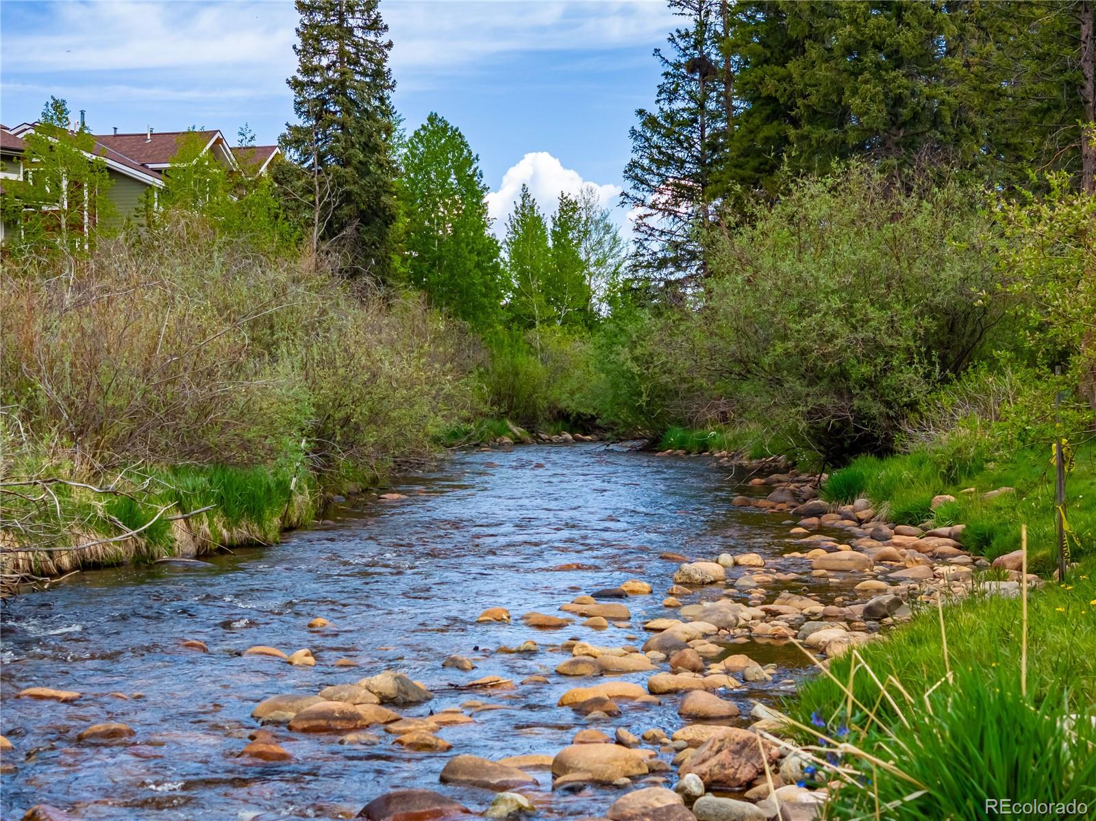 MLS Image #33 for 400  hi country drive,winter park, Colorado