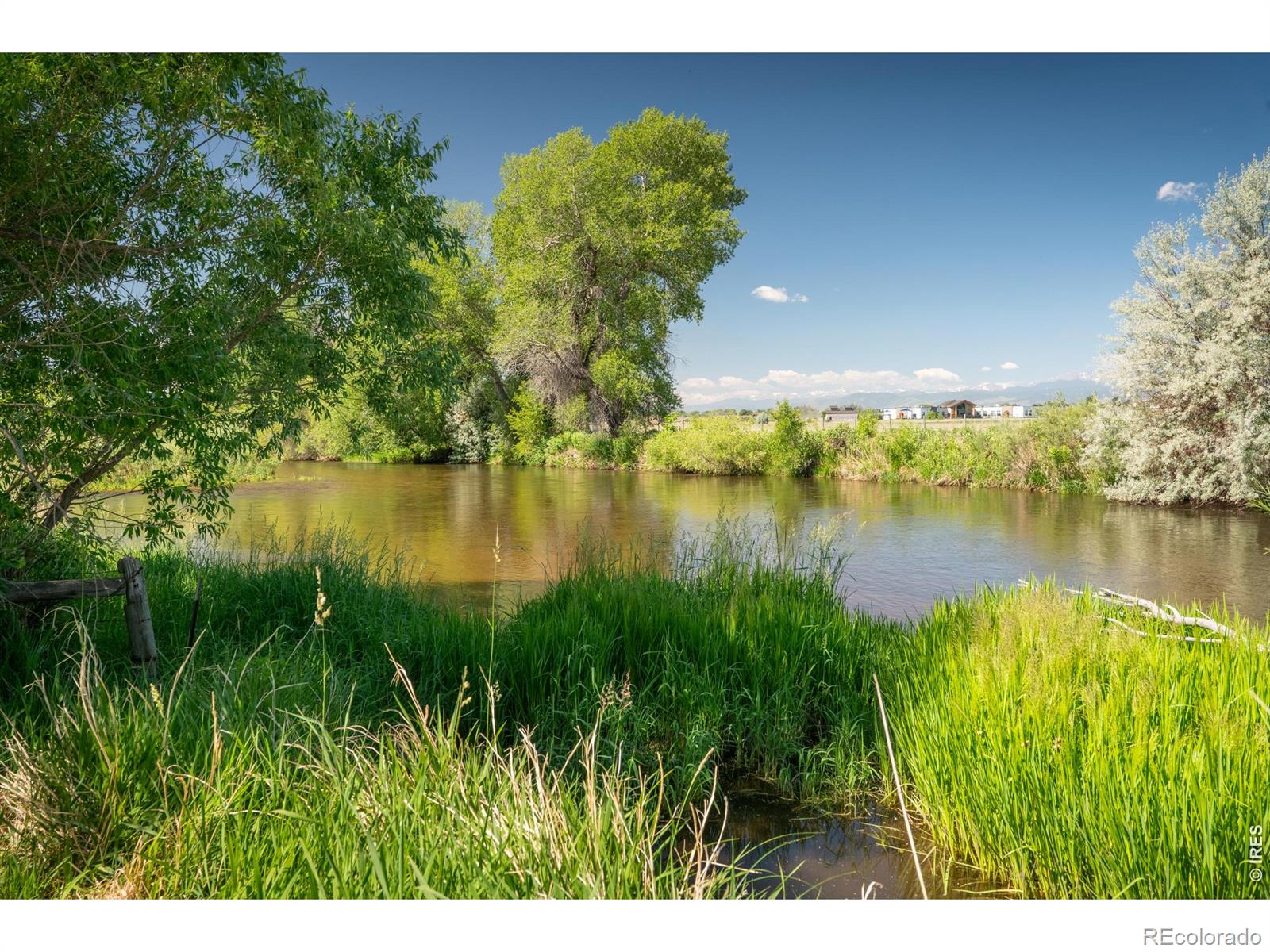 MLS Image #32 for 4809 s county road 3f ,fort collins, Colorado