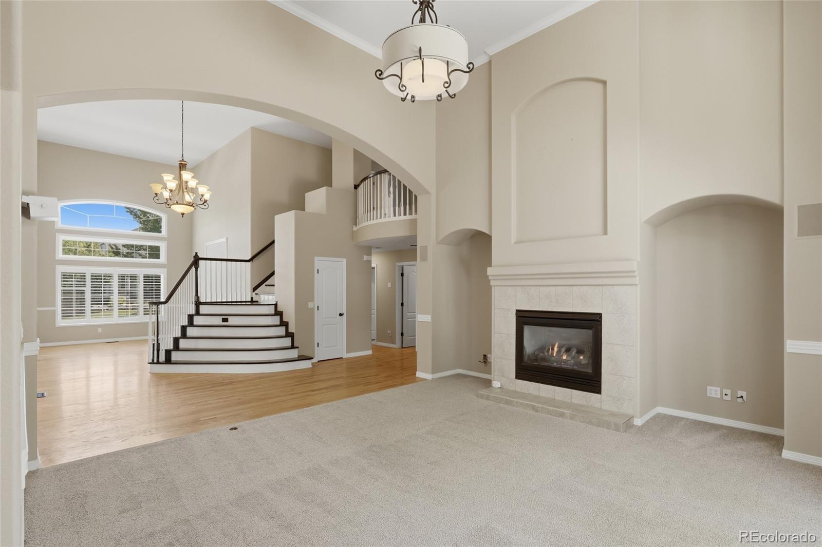 MLS Image #10 for 6476  serengeti circle,lone tree, Colorado