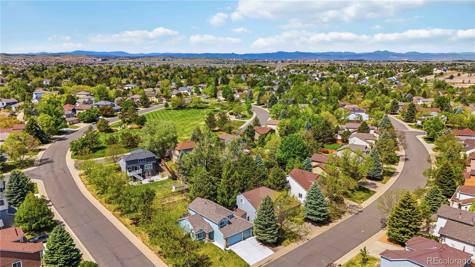 MLS Image #41 for 16292  bluebonnet drive,parker, Colorado