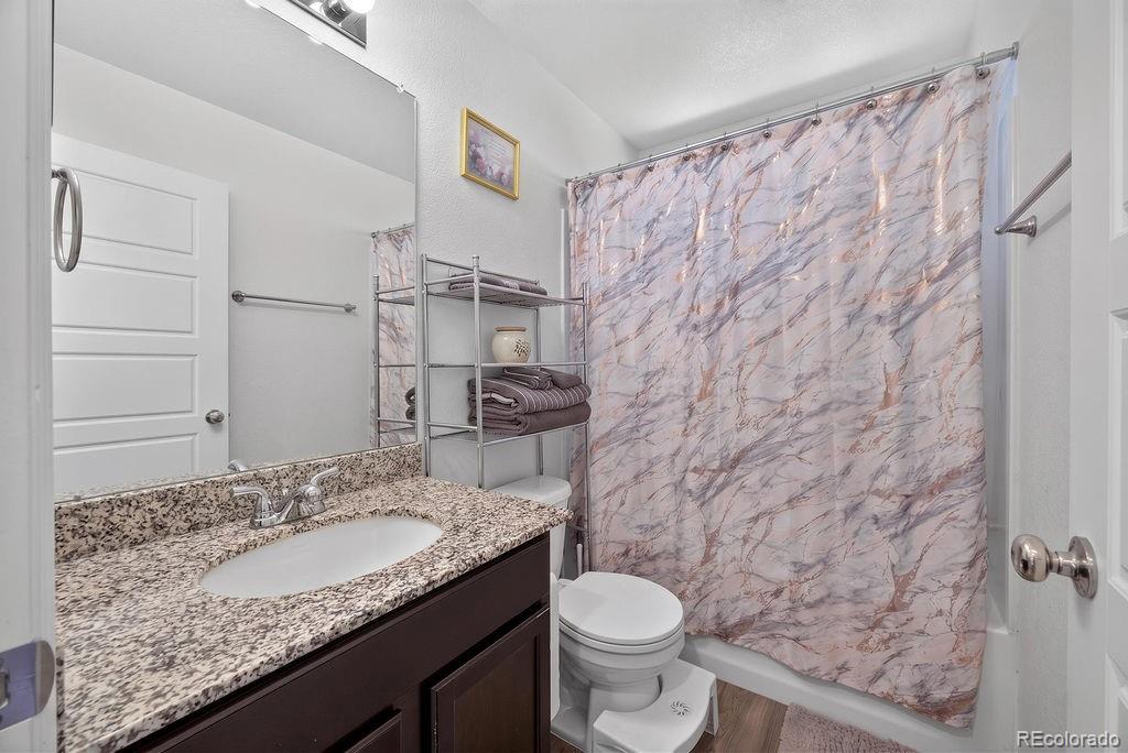 MLS Image #19 for 18656 e 54th place,denver, Colorado