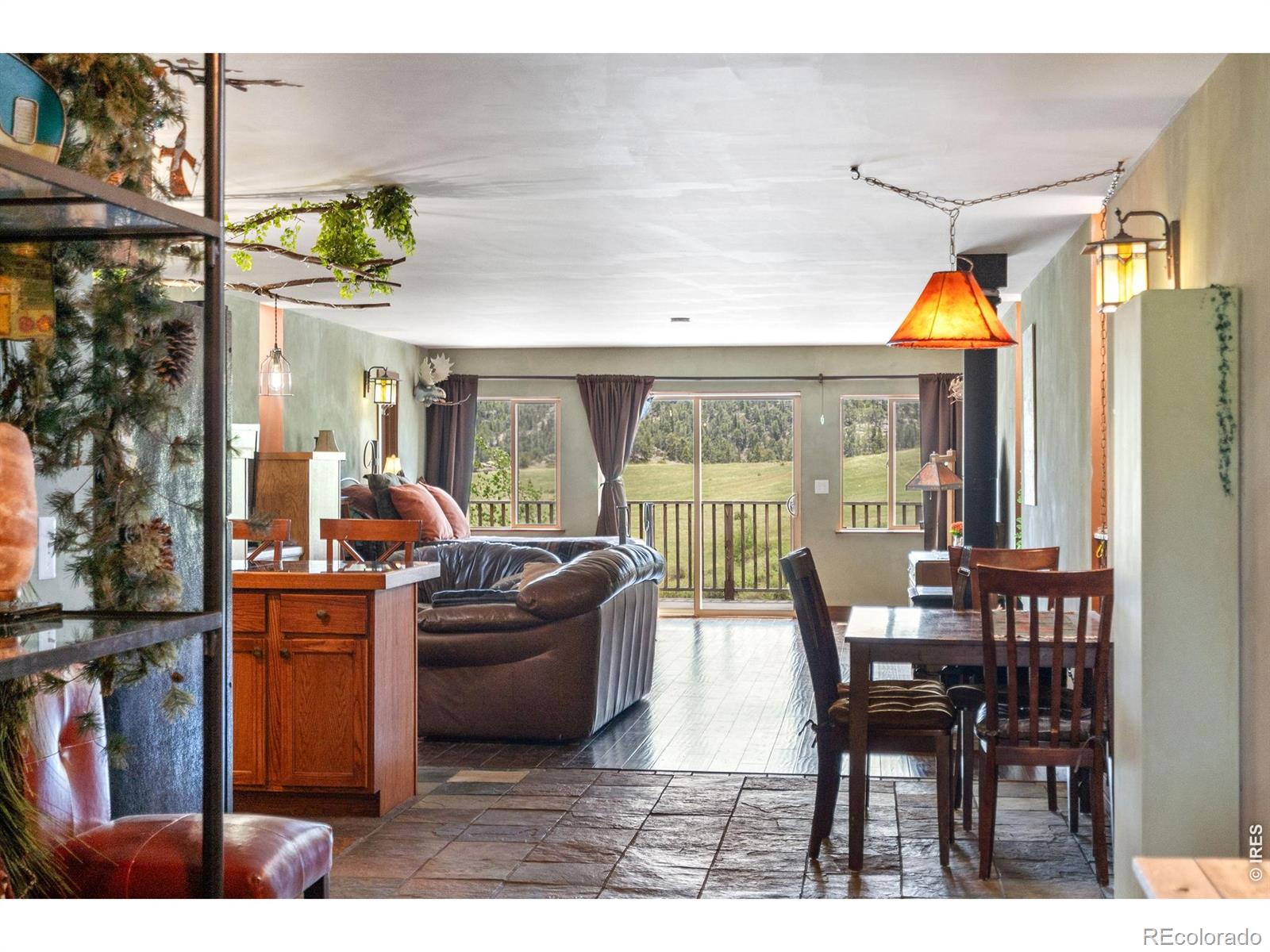 MLS Image #6 for 260  coyote holler way,livermore, Colorado