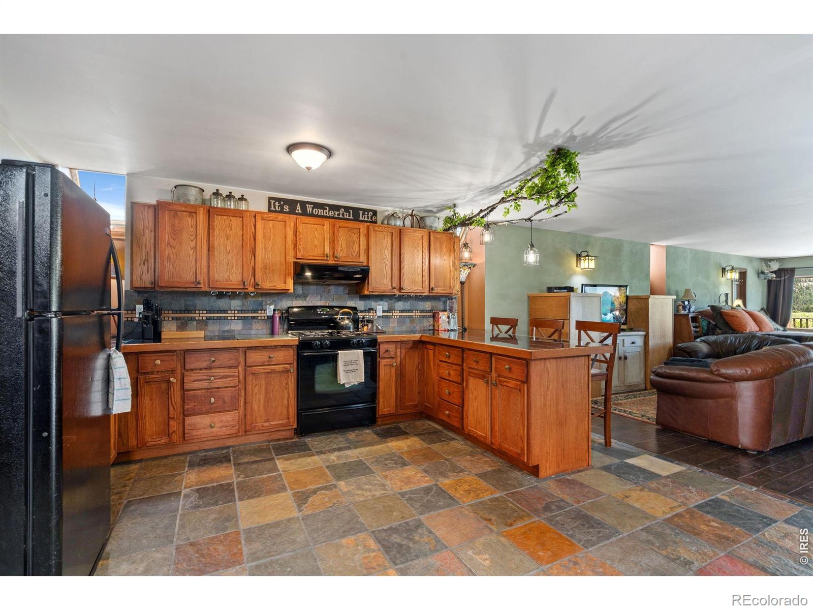MLS Image #7 for 260  coyote holler way,livermore, Colorado