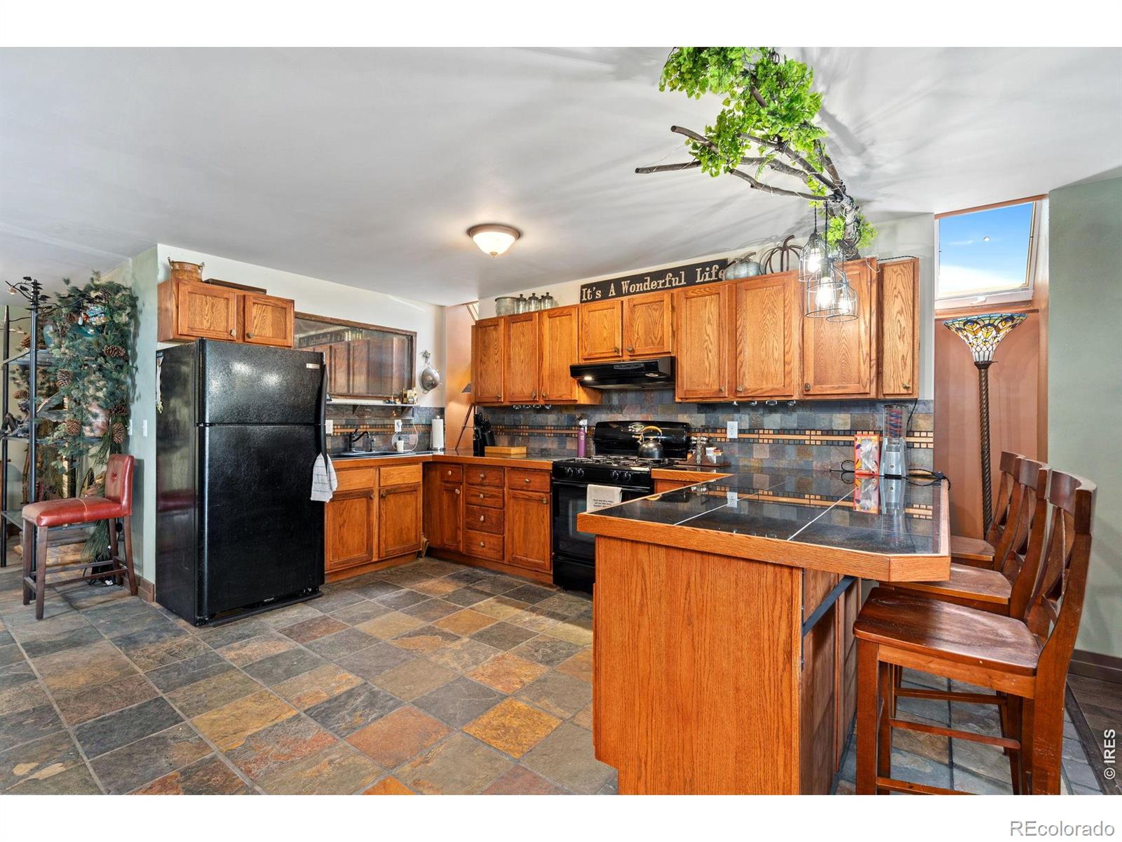 MLS Image #9 for 260  coyote holler way,livermore, Colorado