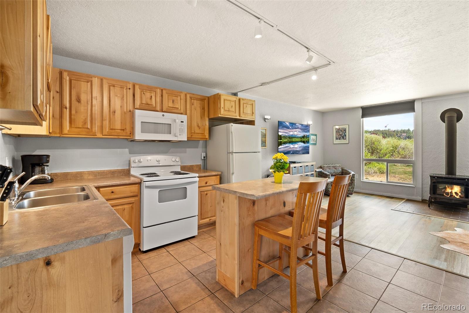 MLS Image #10 for 390  straight creek drive,dillon, Colorado