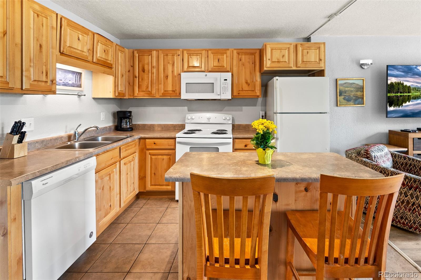 MLS Image #11 for 390  straight creek drive,dillon, Colorado