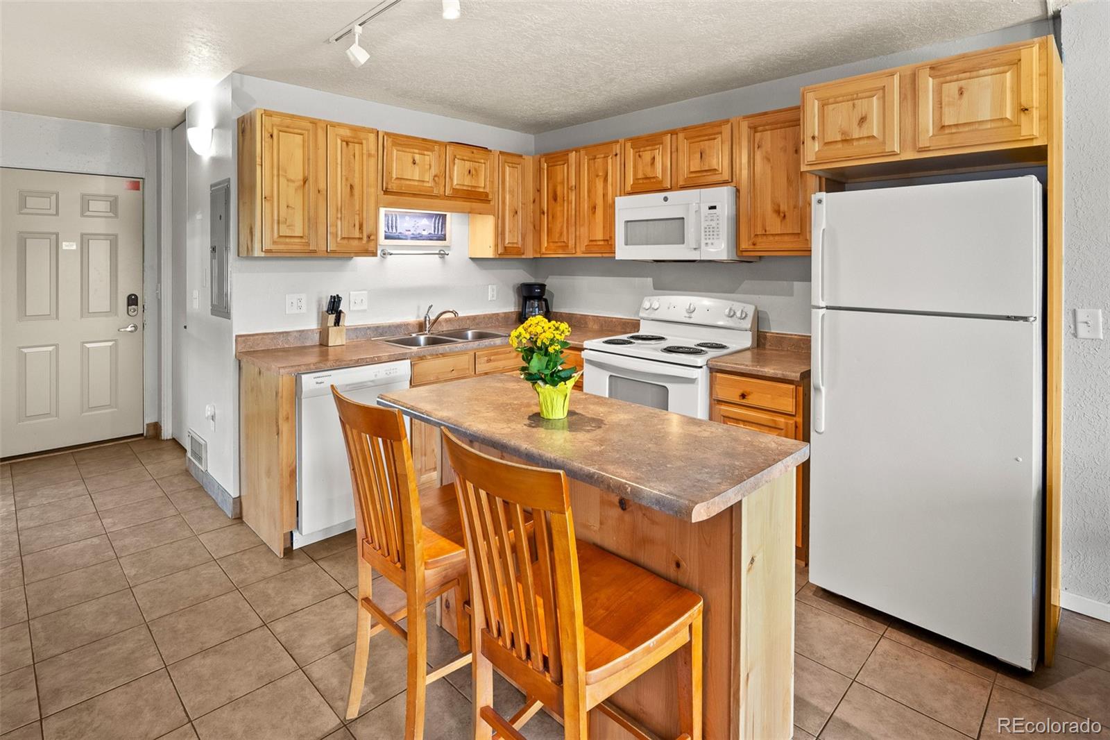 MLS Image #12 for 390  straight creek drive,dillon, Colorado