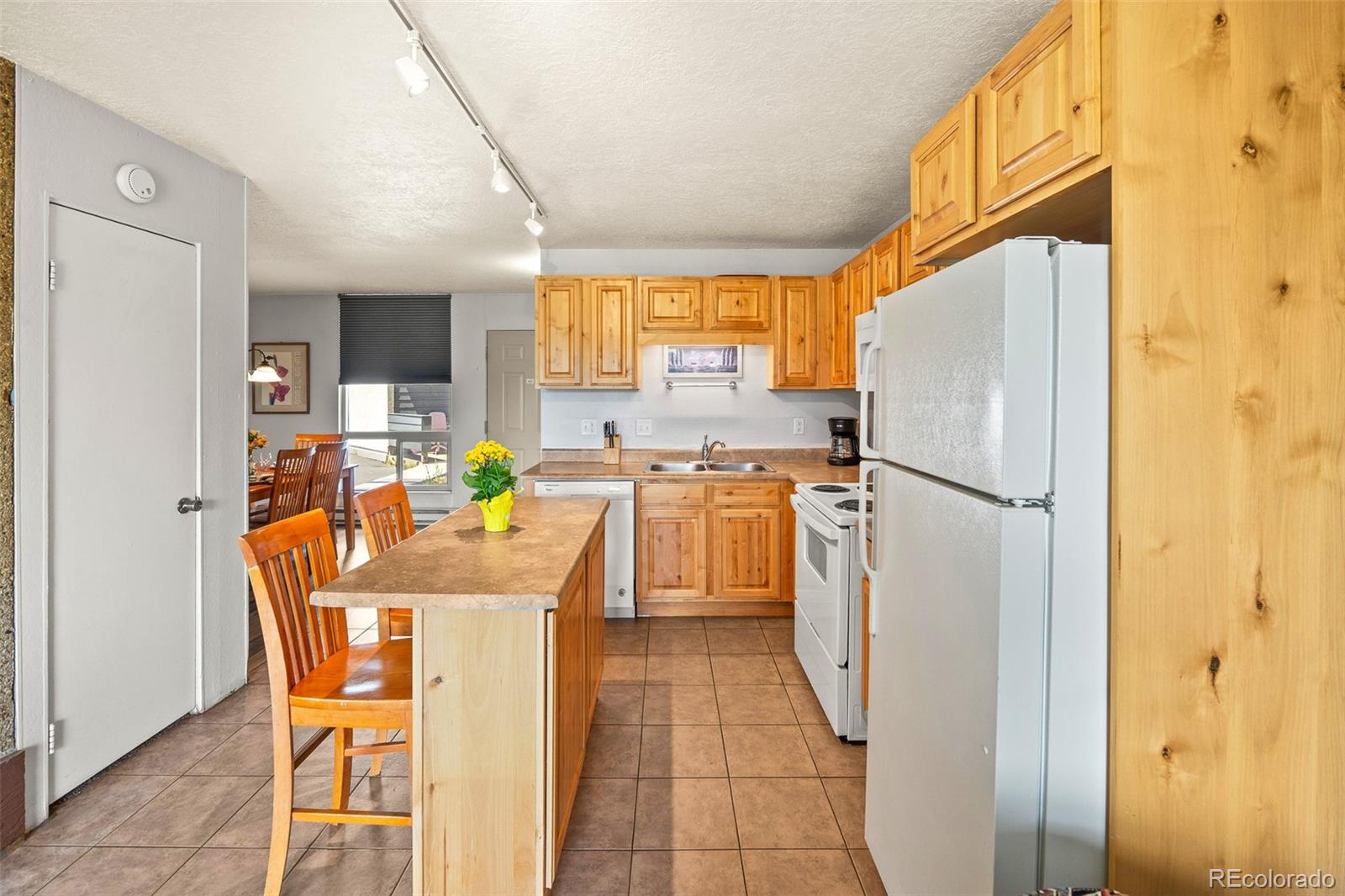MLS Image #14 for 390  straight creek drive,dillon, Colorado