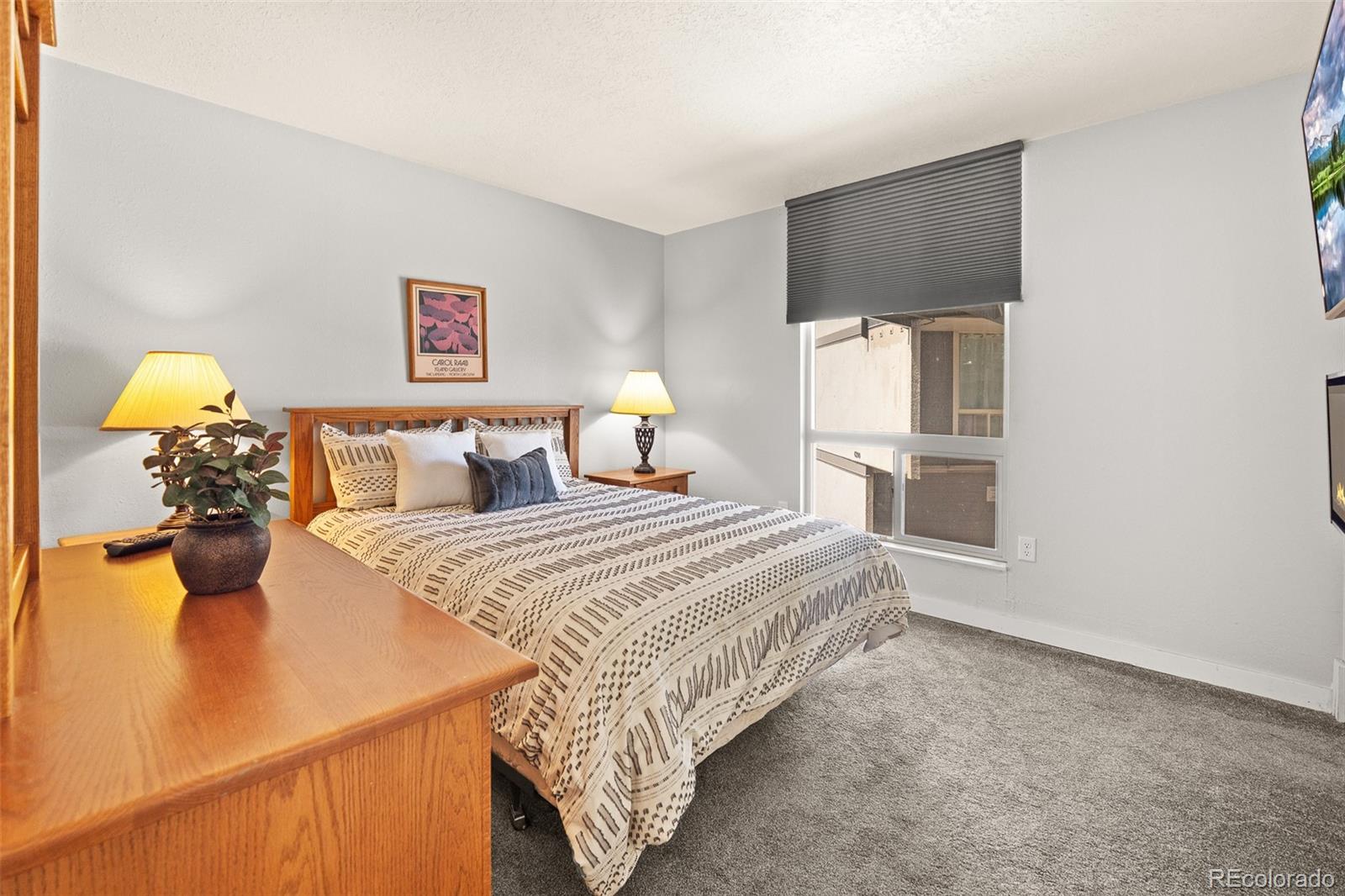 MLS Image #15 for 390  straight creek drive,dillon, Colorado