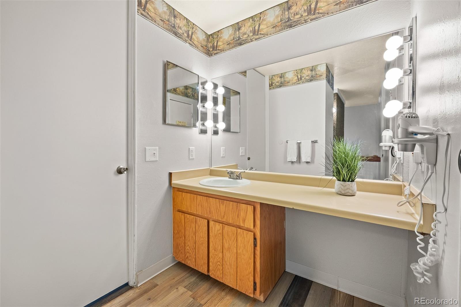 MLS Image #22 for 390  straight creek drive,dillon, Colorado