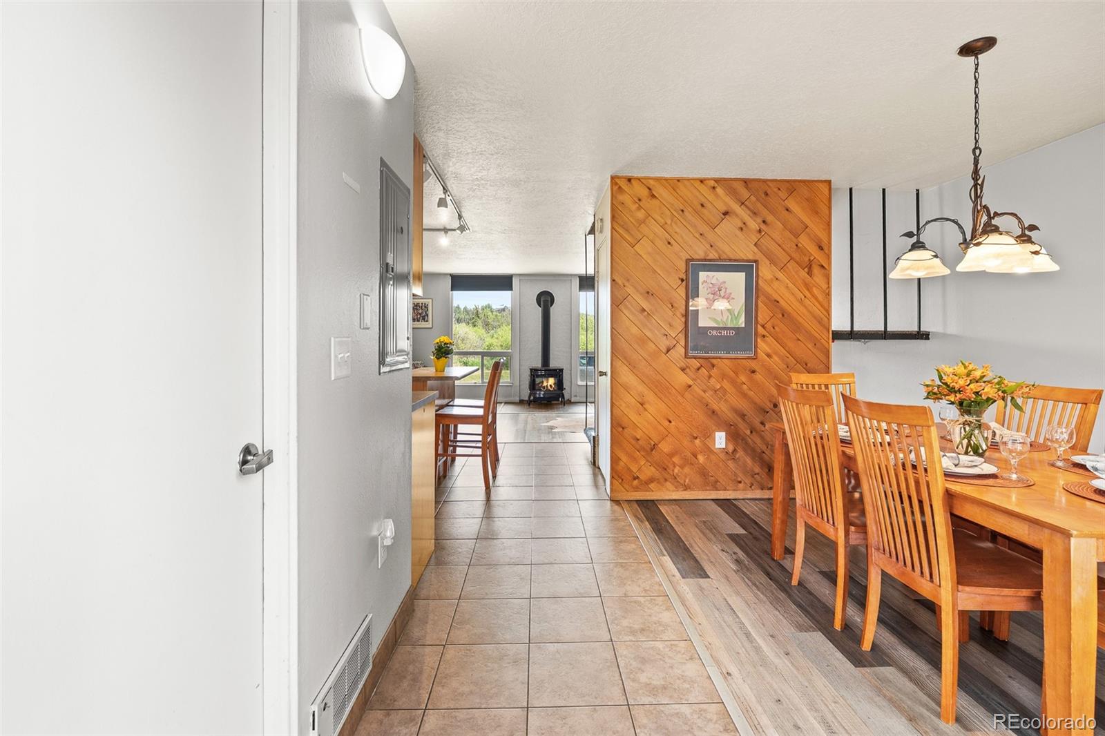 MLS Image #3 for 390  straight creek drive,dillon, Colorado