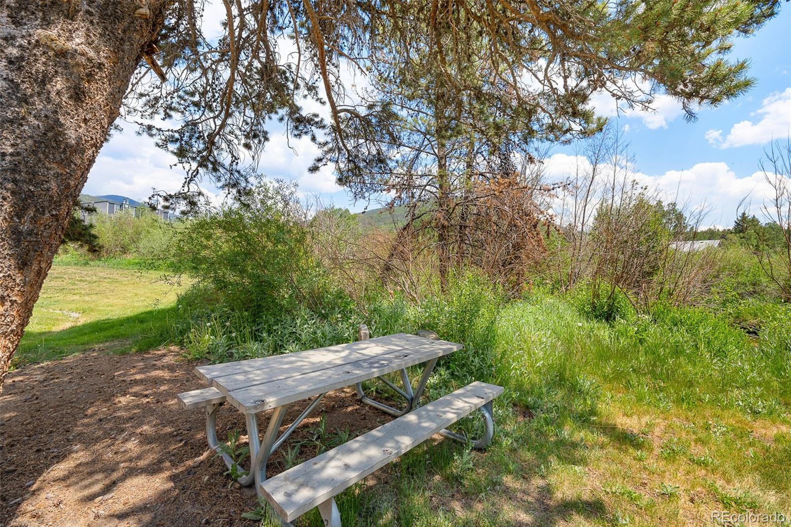MLS Image #32 for 390  straight creek drive,dillon, Colorado