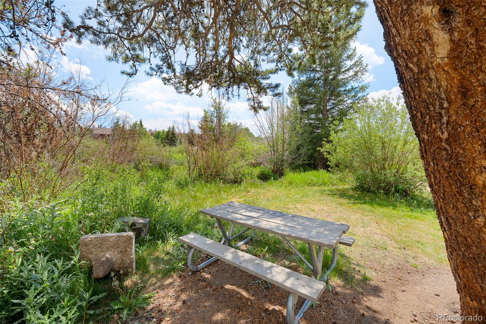 MLS Image #33 for 390  straight creek drive,dillon, Colorado