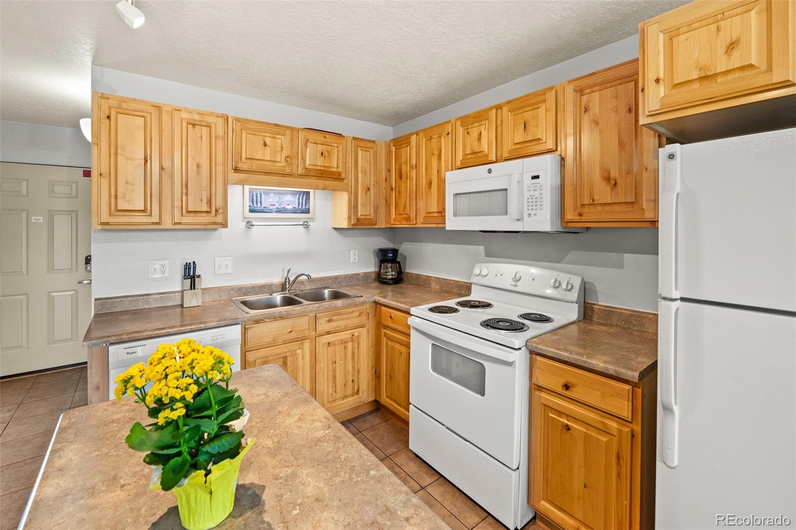 MLS Image #8 for 390  straight creek drive,dillon, Colorado