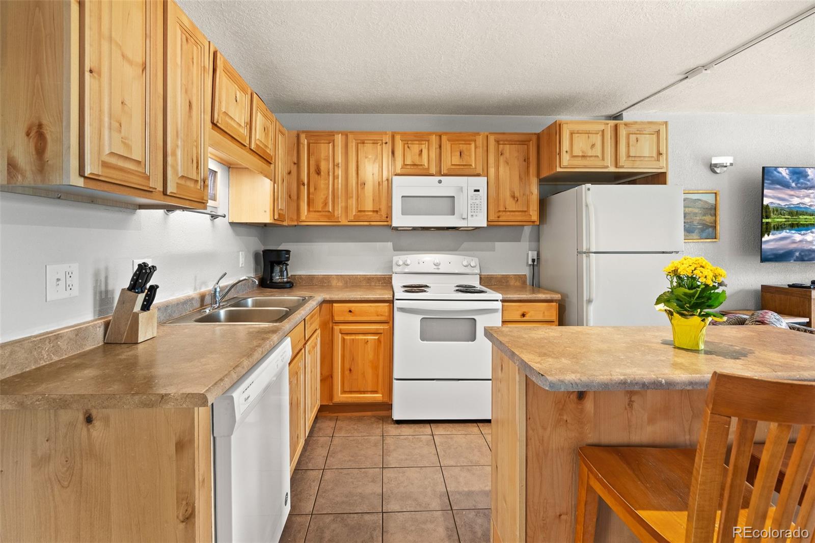 MLS Image #9 for 390  straight creek drive,dillon, Colorado
