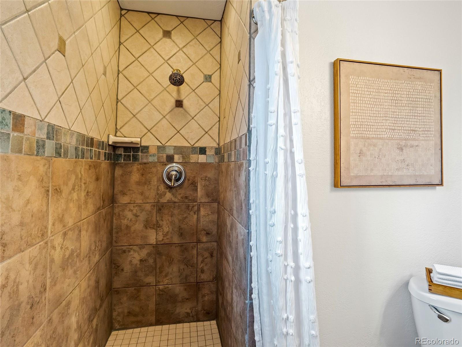 MLS Image #17 for 1344 n arcadia street,colorado springs, Colorado
