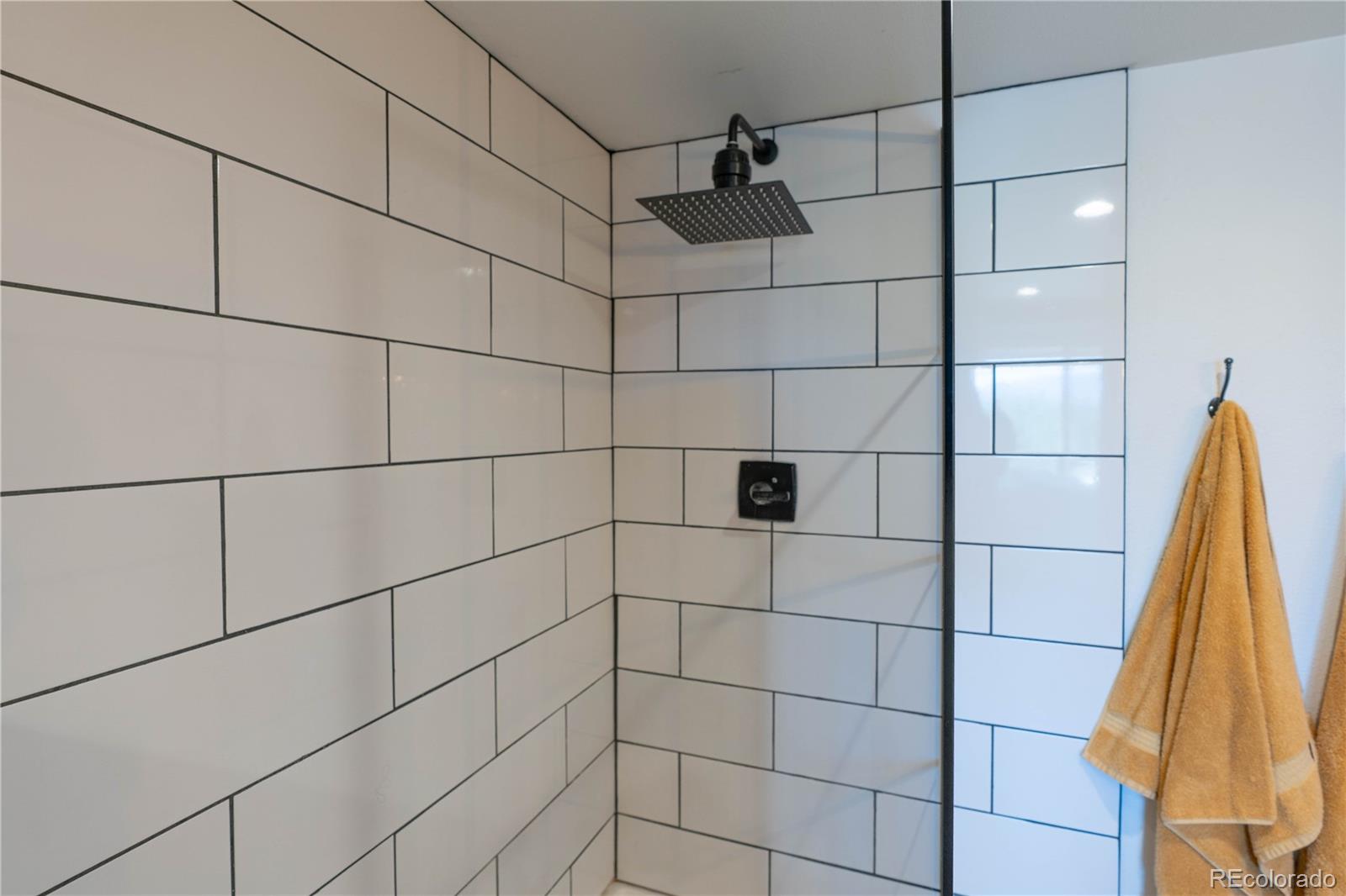 MLS Image #12 for 150  summit drive,bailey, Colorado