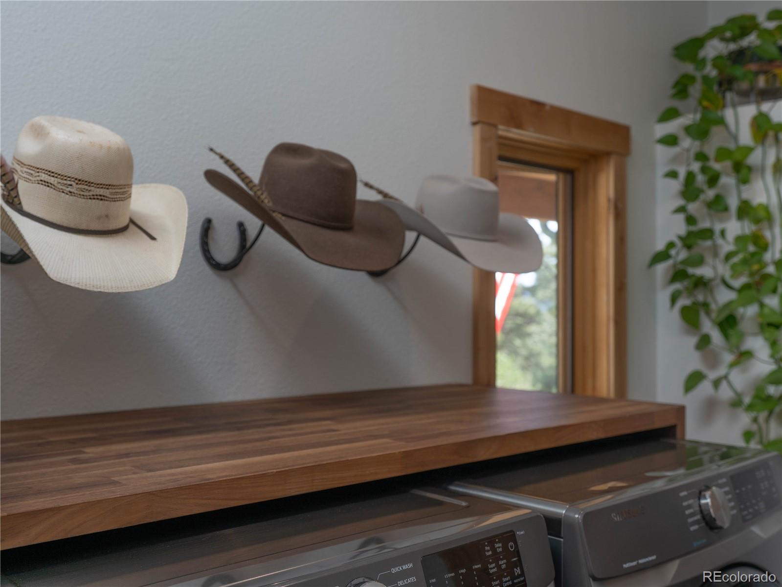 MLS Image #24 for 150  summit drive,bailey, Colorado