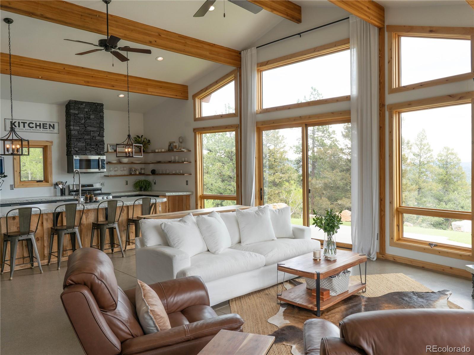 MLS Image #6 for 150  summit drive,bailey, Colorado