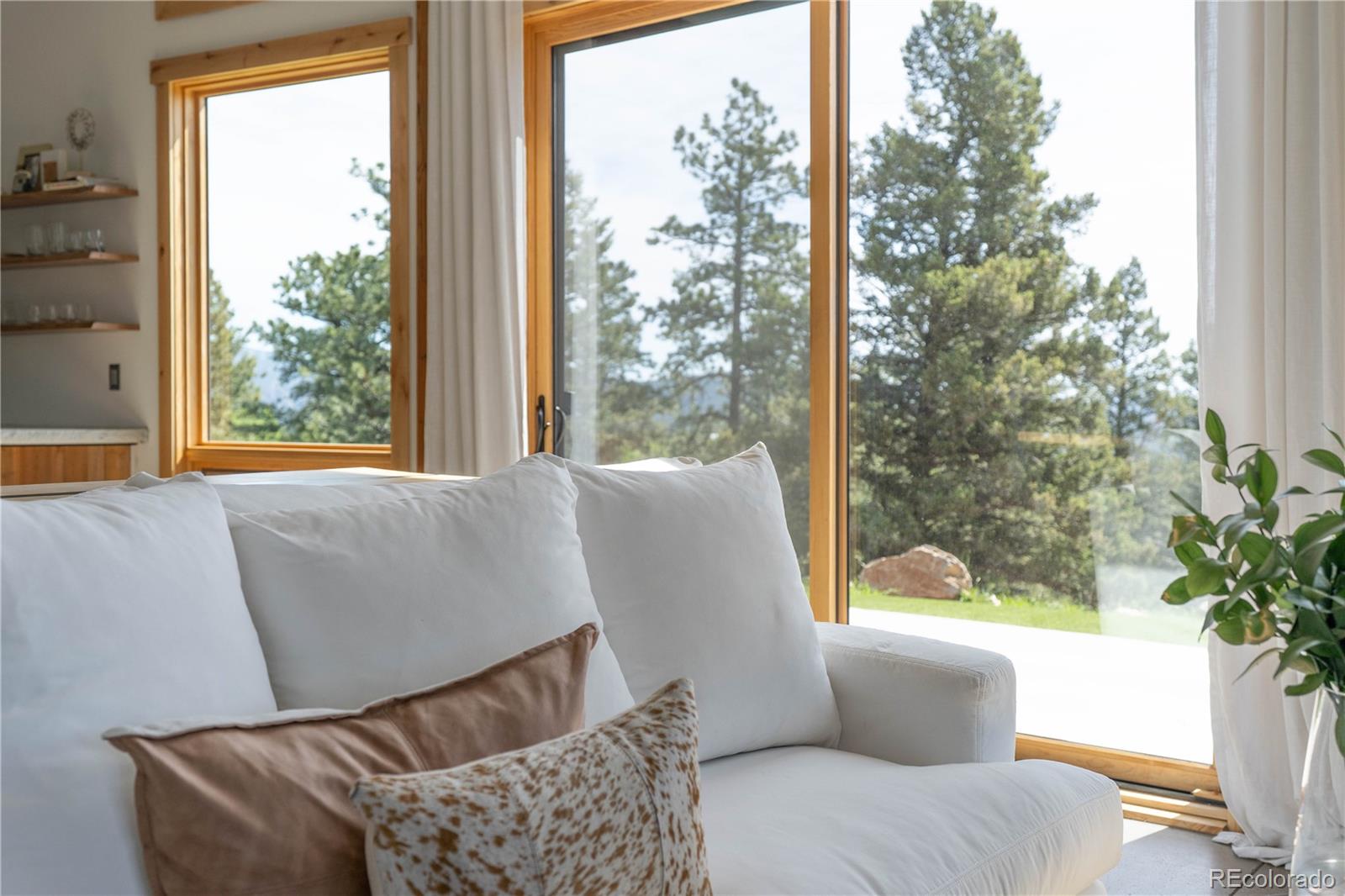 MLS Image #8 for 150  summit drive,bailey, Colorado