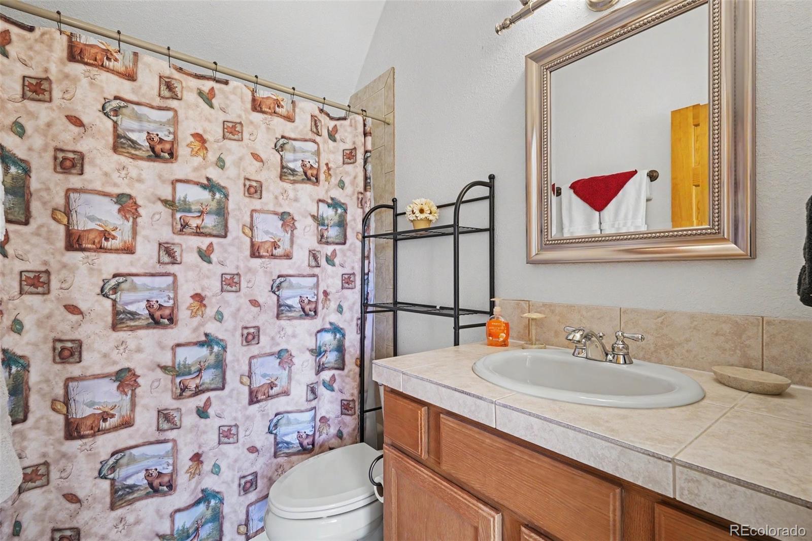 MLS Image #19 for 541  warpath road,jefferson, Colorado