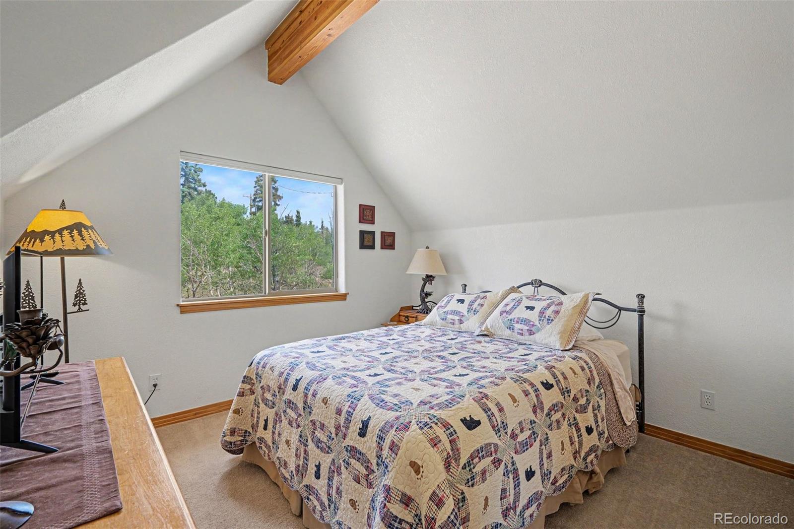 MLS Image #20 for 541  warpath road,jefferson, Colorado