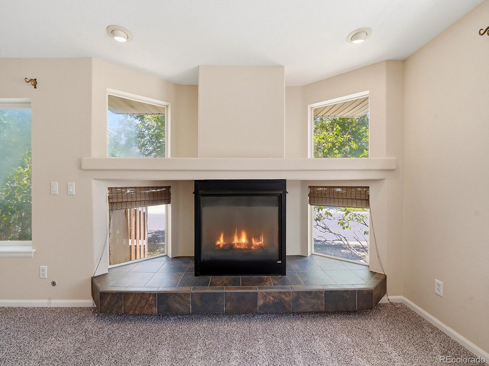 MLS Image #7 for 15395 e 117th place,commerce city, Colorado
